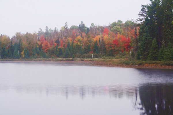 blended fall colors 55mm